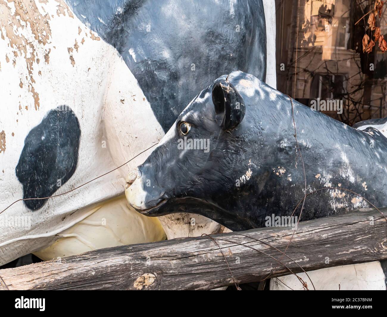 Tête de vache avec des animaux de ferme place pour le texte. Ferme. Image en arrière-plan. Banque D'Images
