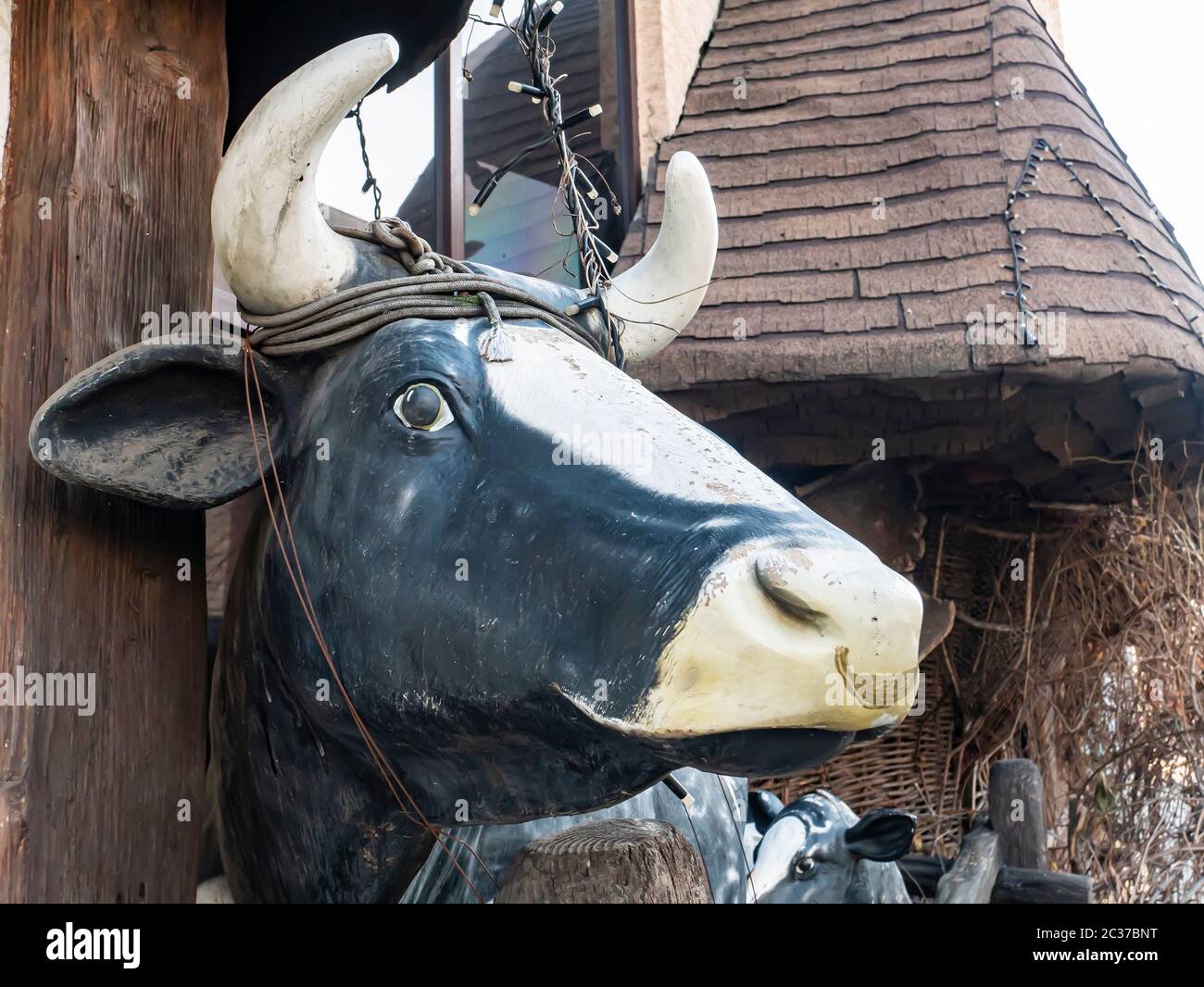 Tête de vache avec des animaux de ferme place pour le texte. Ferme. Image en arrière-plan. Banque D'Images