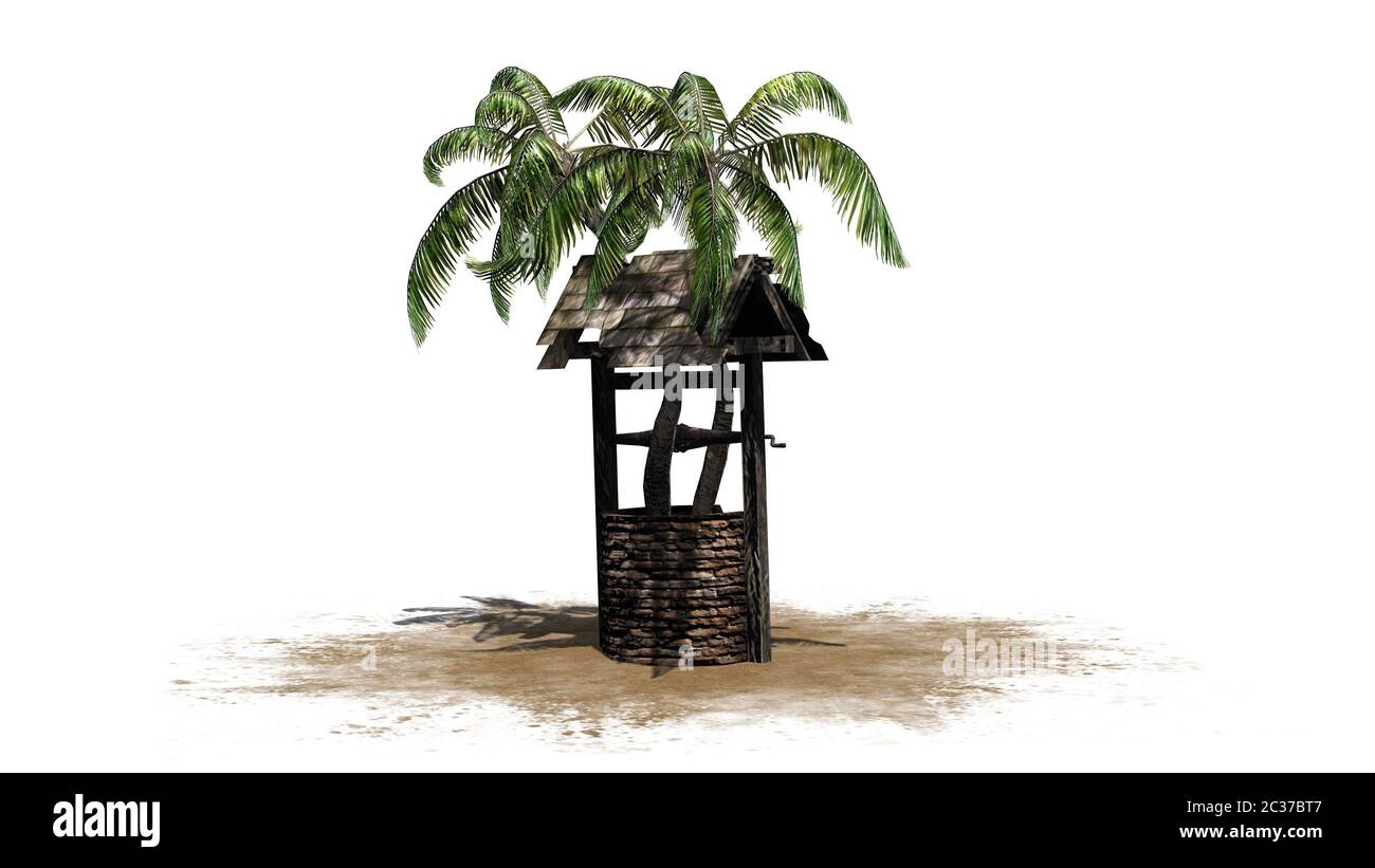 palmier dans le vieux puits sur le sable Banque D'Images