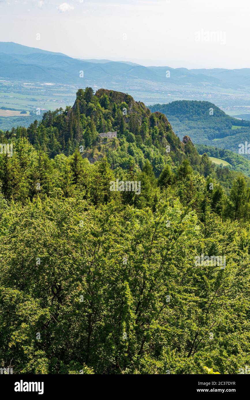 Vrsatske hradne bralo formation de rochers ruines de château de woth et forêt de printemps vert frais au-dessus du village de Vrsatske Podhradie dans les montagnes de Biele Karpaty Banque D'Images
