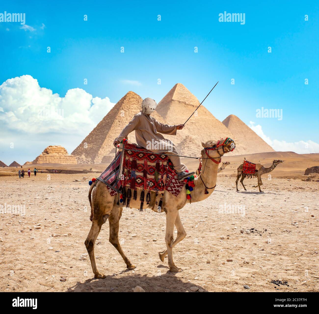 Sur les bédouins du désert en chameau près de pyramides Banque D'Images