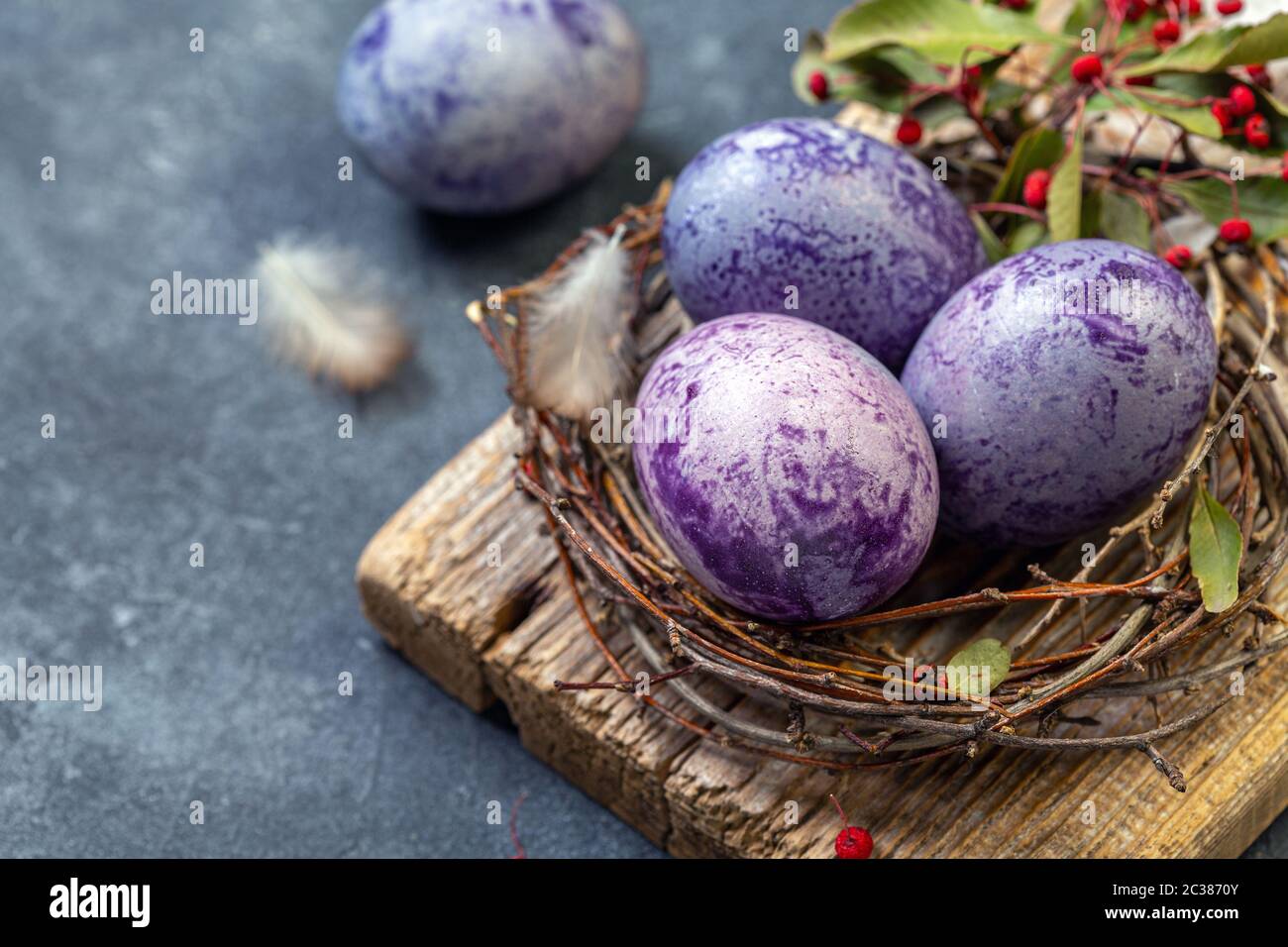 Œufs de Pâques bleus et violets dans le nid. Banque D'Images