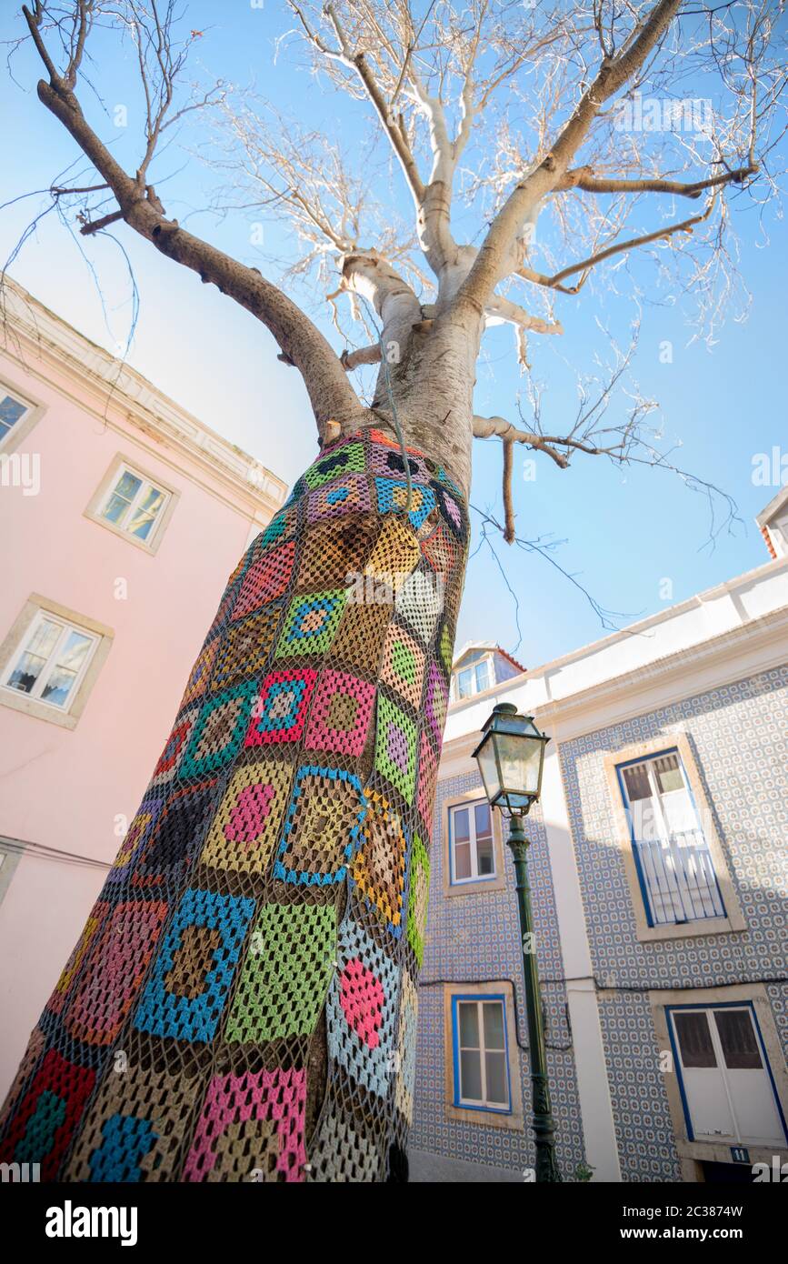 Magnifique arbre unique dans le quartier de Mouraria à Lisbonne, Portugal Banque D'Images