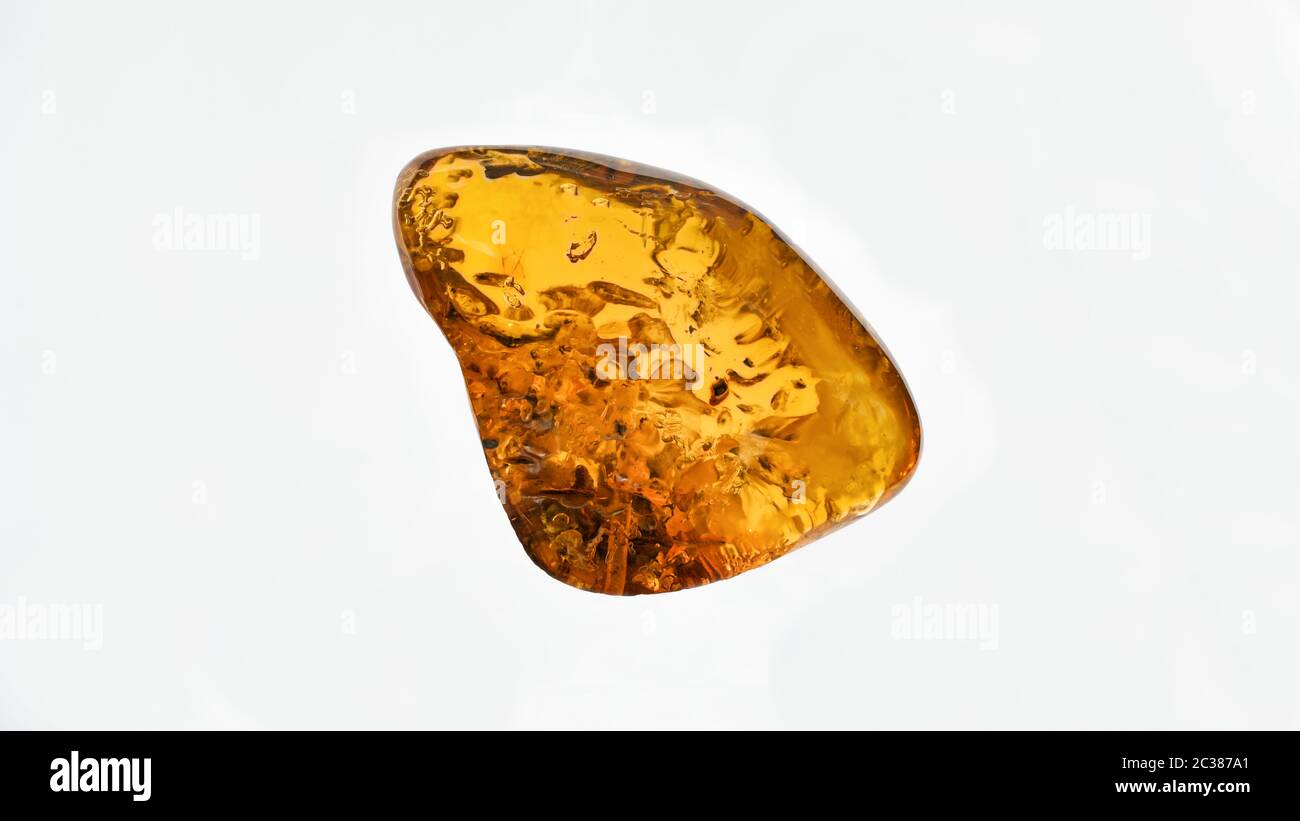 Pierre ambre. Authentique ambre Baltique avec macro d'insecte fossile préhistorique. Loupe et orange croissant Banque D'Images
