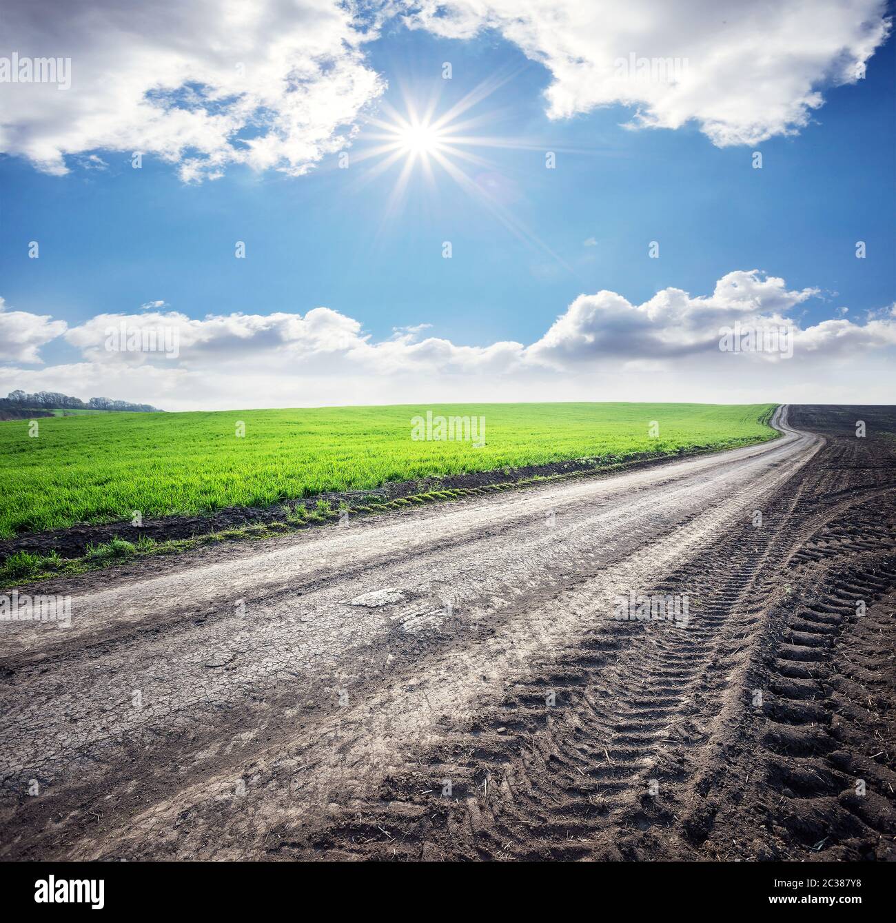 Route de campagne dans le domaine de l'herbe Banque D'Images