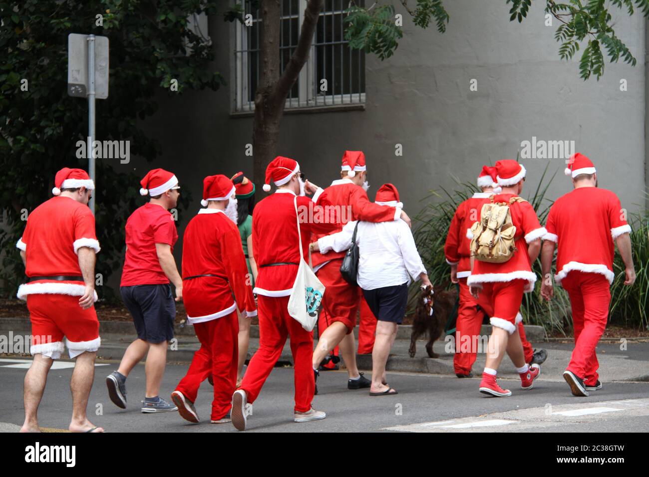 Les personnes vêtues de Santa Claus marchent depuis le pub Forresters le long de Foveaux Street vers le Dolphin sur le SantaCon de Sydney. Banque D'Images