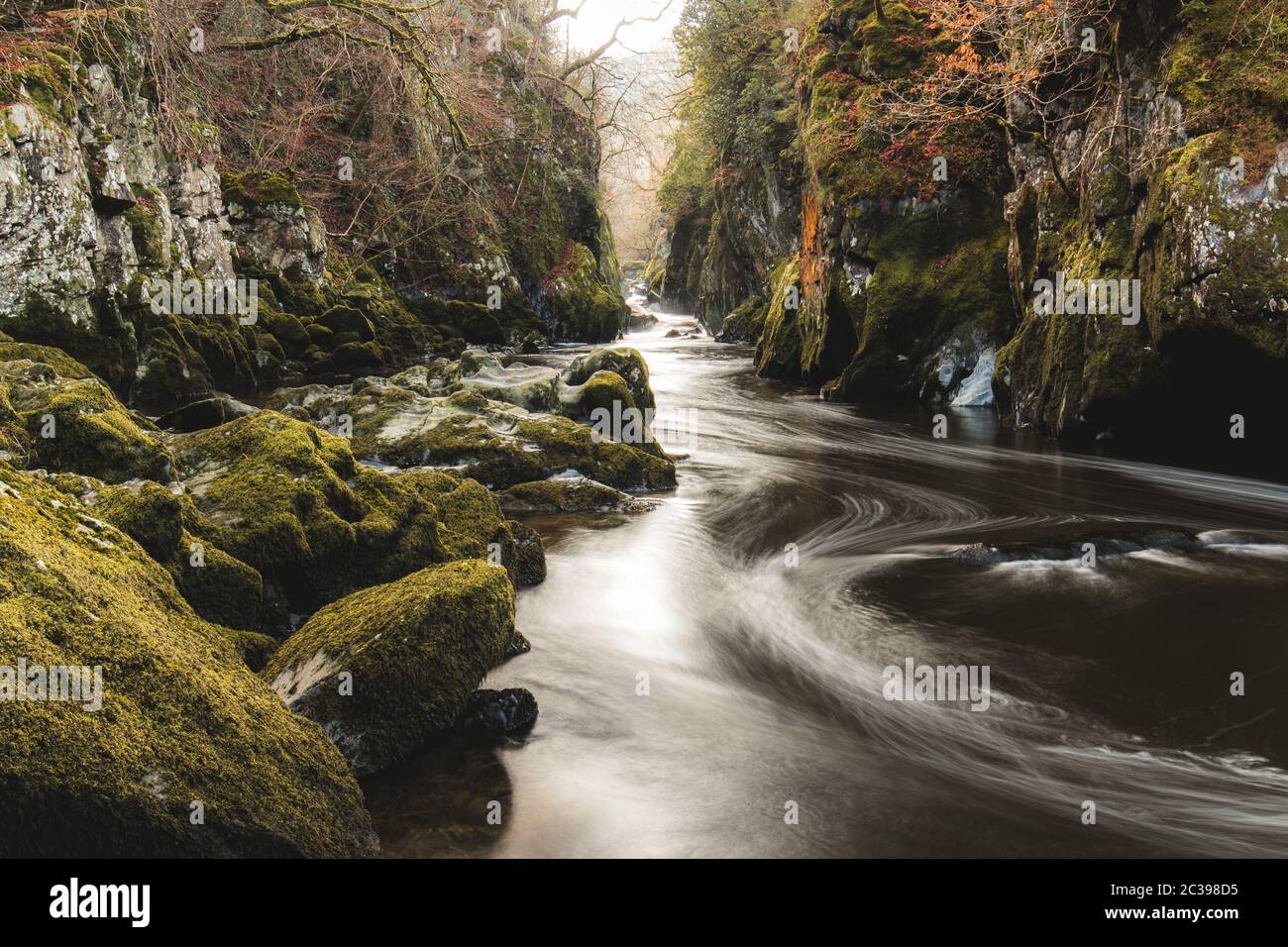 Rivière Conwy traversant la magnifique Fée Glen gorge près de Betws-y-Coed Snowdonia, au nord du pays de Galles en hiver. Photographie de paysage britannique Banque D'Images