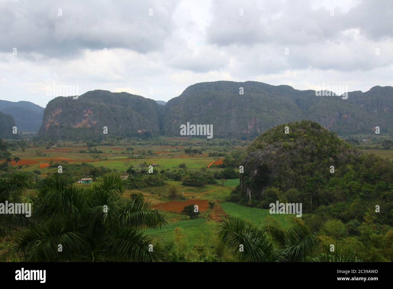 Valle de Vinales, Cuba Banque D'Images