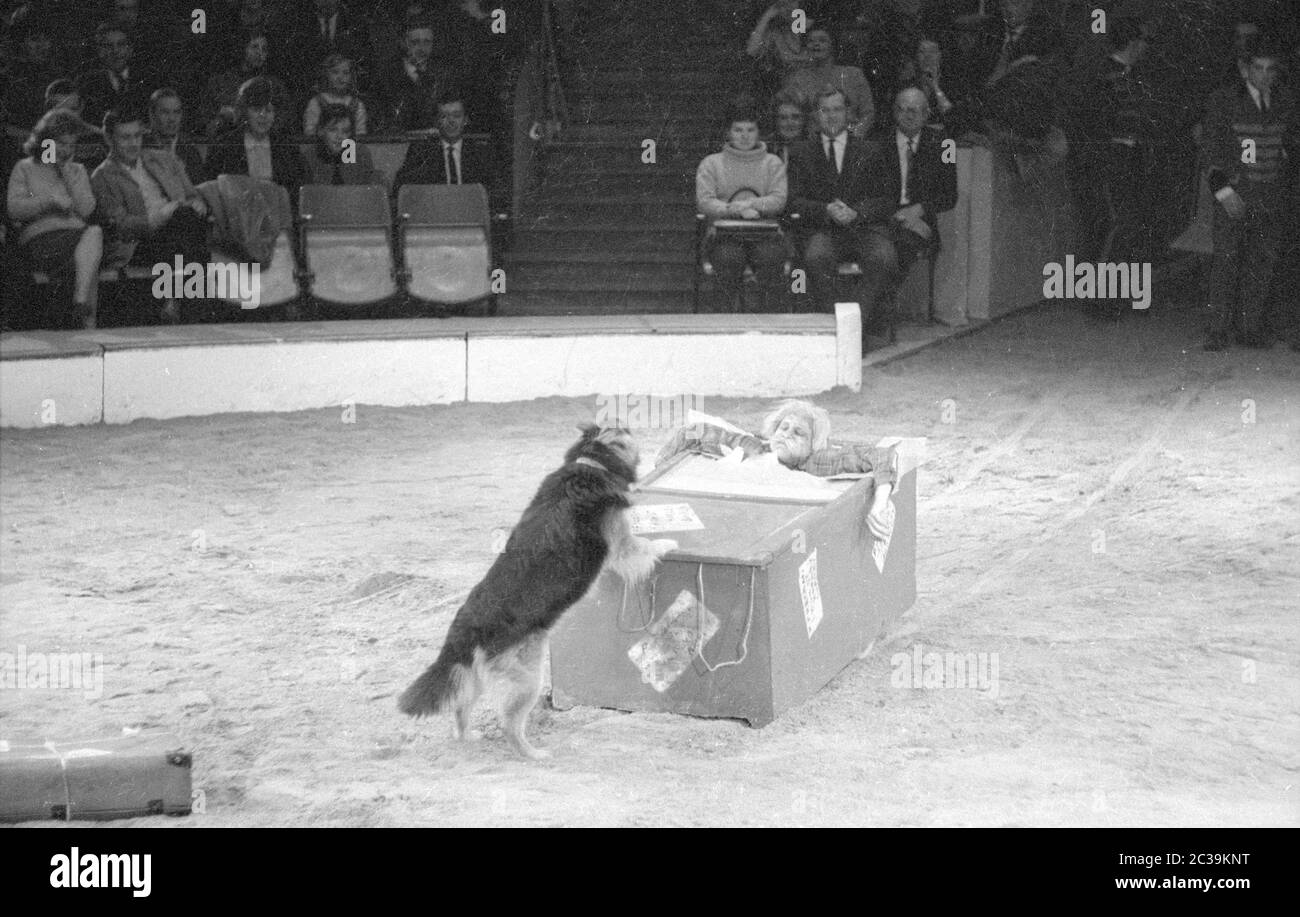 Un clown dans une boîte avec un chien au Circus Krone à Munich. Banque D'Images