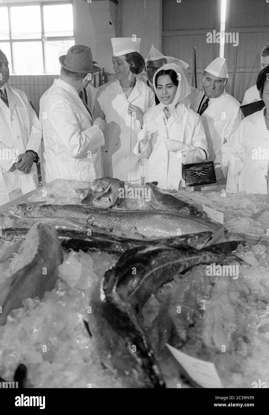 Le couple royal Bhumibol Adulyadej Rama IX et sa femme Sirikit visitent une usine de poissons à Brême lors de leur voyage en Allemagne. Banque D'Images