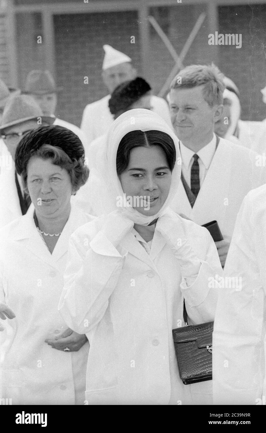 Le couple royal Bhumibol Adulyadej Rama IX et sa femme Sirikit visitent une usine de poissons à Brême lors de leur voyage en Allemagne. Banque D'Images
