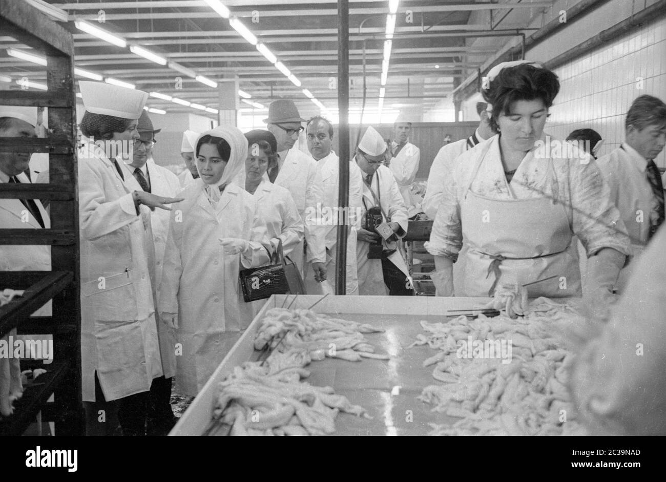Le couple royal Bhumibol Adulyadej Rama IX et sa femme Sirikit visitent une usine de poissons à Brême lors de leur voyage en Allemagne. Banque D'Images