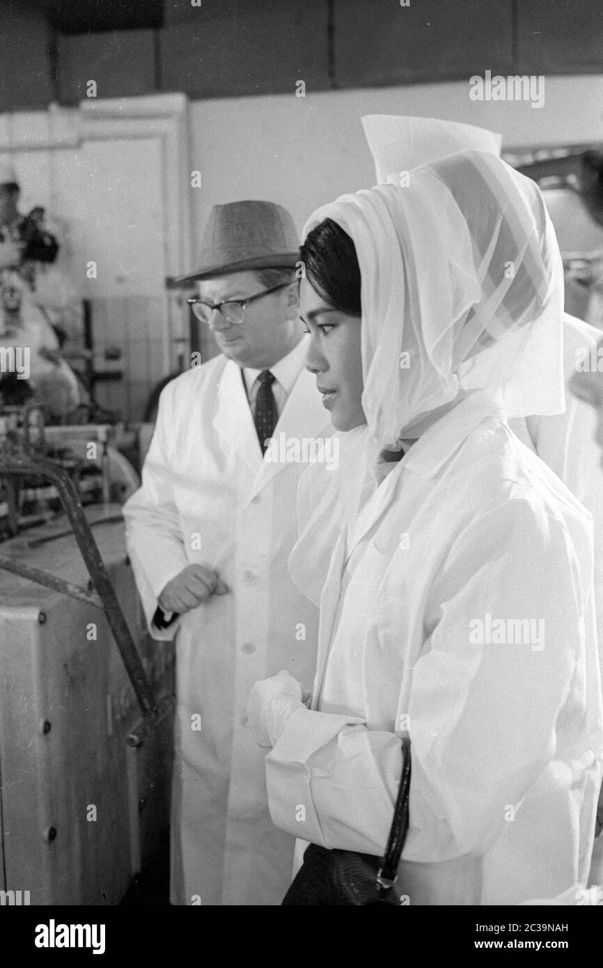 Le couple royal Bhumibol Adulyadej Rama IX et sa femme Sirikit visitent une usine de poissons à Brême lors de leur voyage en Allemagne. Banque D'Images