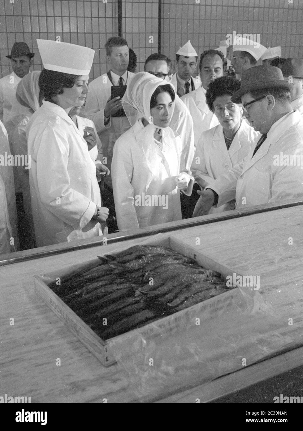 Le couple royal Bhumibol Adulyadej Rama IX et sa femme Sirikit visitent une usine de poissons à Brême lors de leur voyage en Allemagne. Banque D'Images