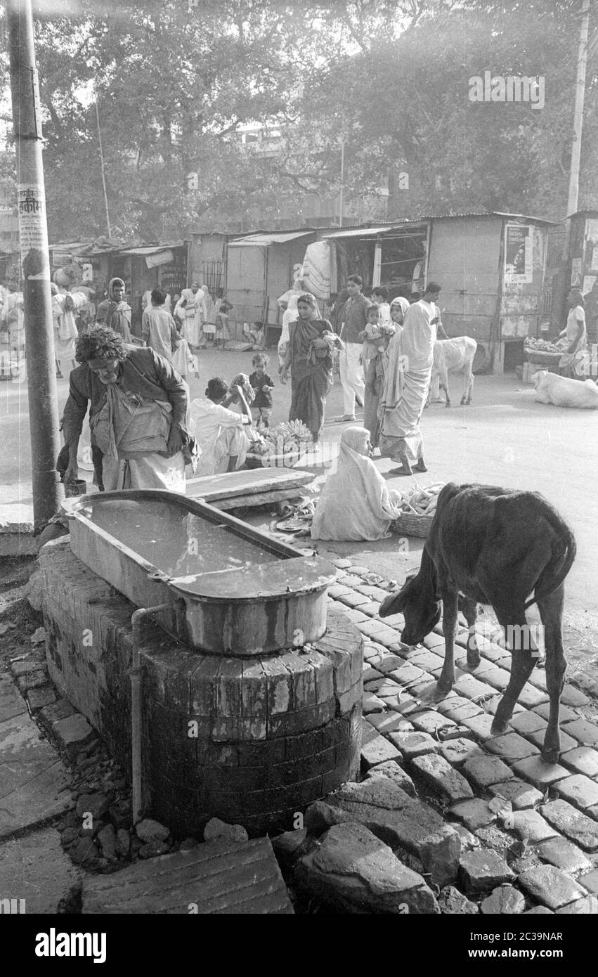 Puits d'eau dans une rue pauvre de la ville indienne de Benares. À côté il y a une vache libre d'itinérance. Banque D'Images