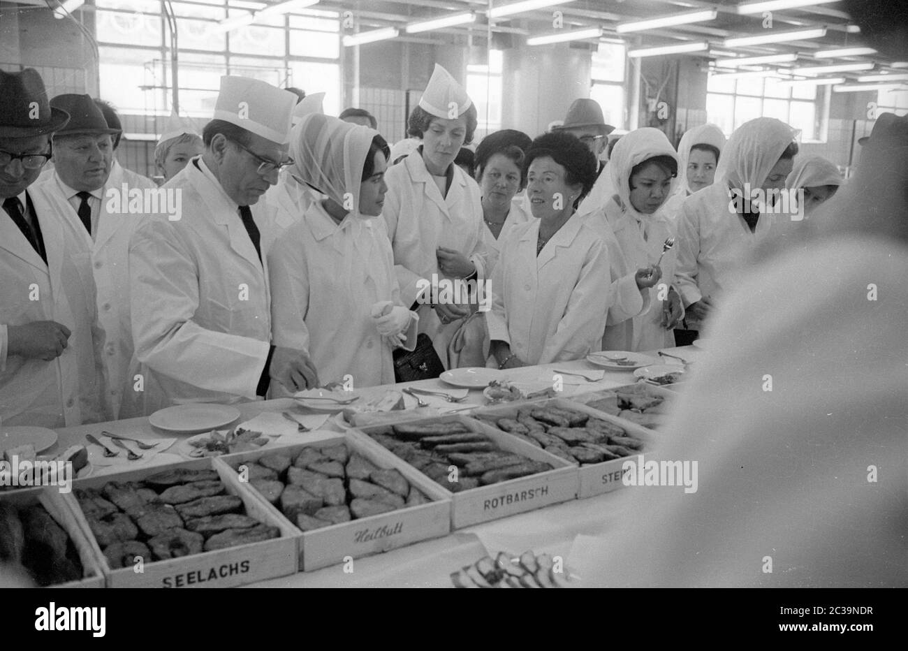 Le couple royal Bhumibol Adulyadej Rama IX et sa femme Sirikit visitent une usine de poissons à Brême lors de leur voyage en Allemagne. Banque D'Images