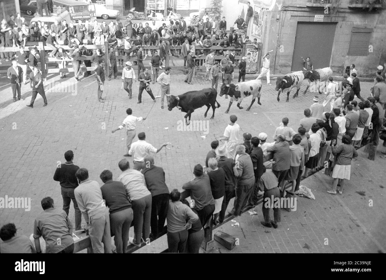 Jeunes hommes dans la rue à une course des taureaux. Banque D'Images