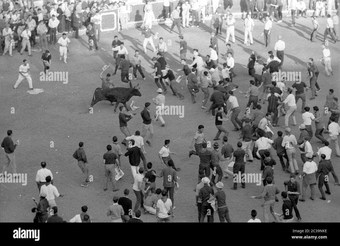 Jeunes hommes dans la rue à une course des taureaux. Banque D'Images