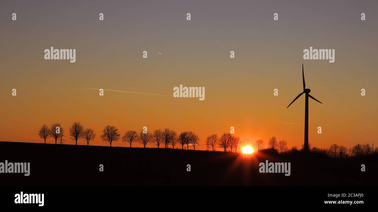 Coucher de soleil dans le Soester börde avec bosquet et moulin à vent Banque D'Images