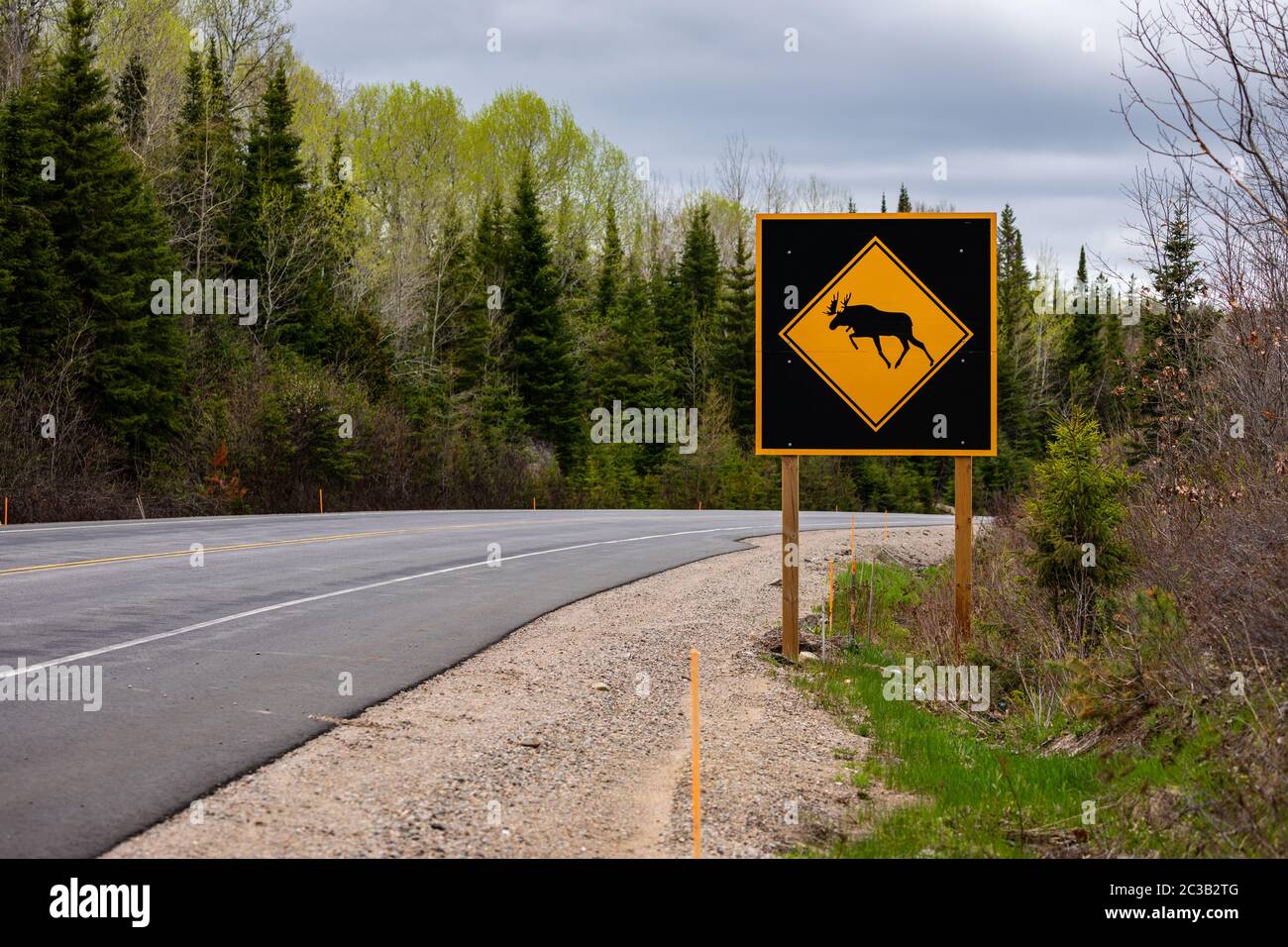 Avertissement du panneau Moose Road Banque D'Images