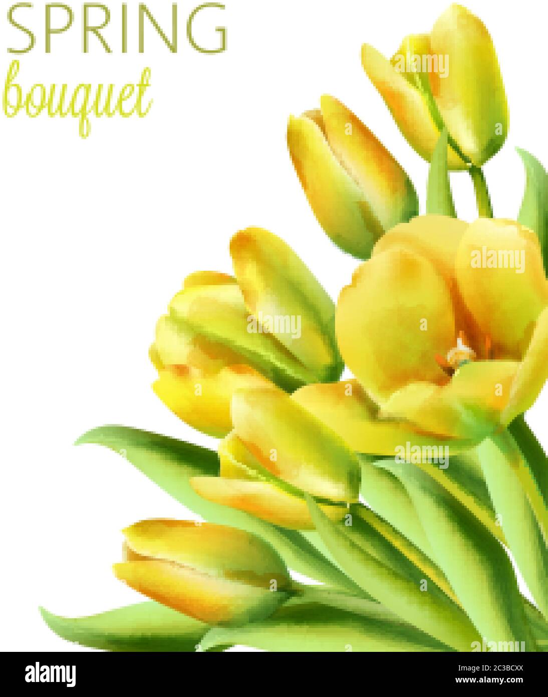 Bouquet de printemps aquarelle de fleurs de tulipe jaunes avec des feuilles vertes. Placer pour le texte. Vecteur Illustration de Vecteur