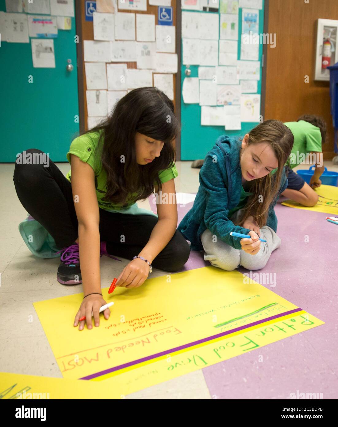 Austin Texas Etats-Unis, 24 octobre 2014: Les membres de cinquième année du club de leadership de leur école élémentaire préparent des affiches et des panneaux pour une alimentation pour aider les familles dans le besoin ©Marjorie Kamys Cotera/Daemmrich Photographie Banque D'Images