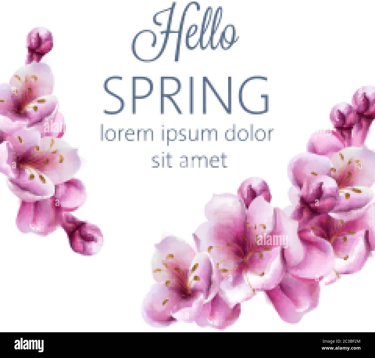 Carte de vœux Hello Spring cerisier fleurs avec place pour le texte. Vecteur Illustration de Vecteur