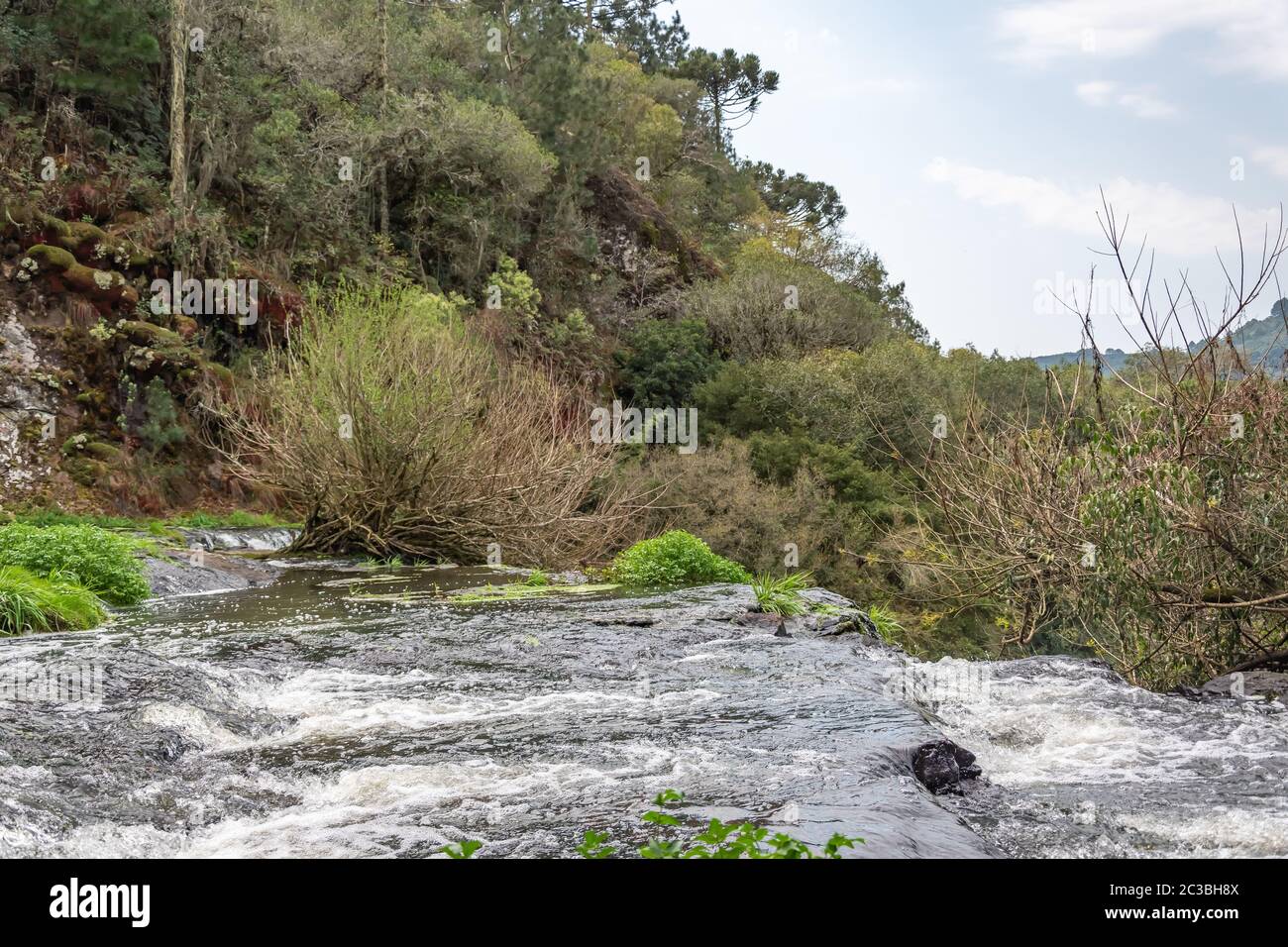 Parcs naturels dans les montagnes du Brésil Banque D'Images