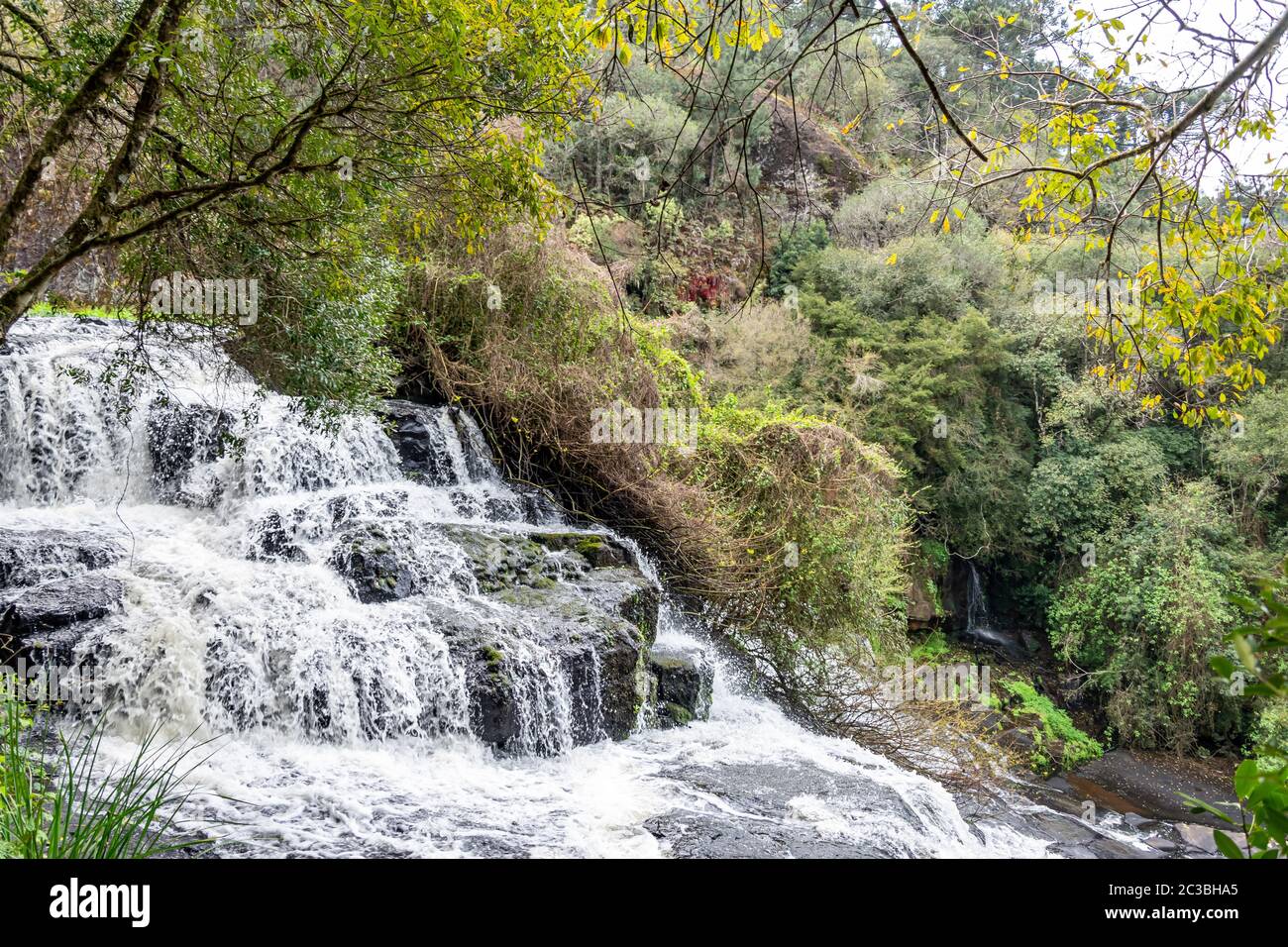 Parcs naturels dans les montagnes du Brésil Banque D'Images