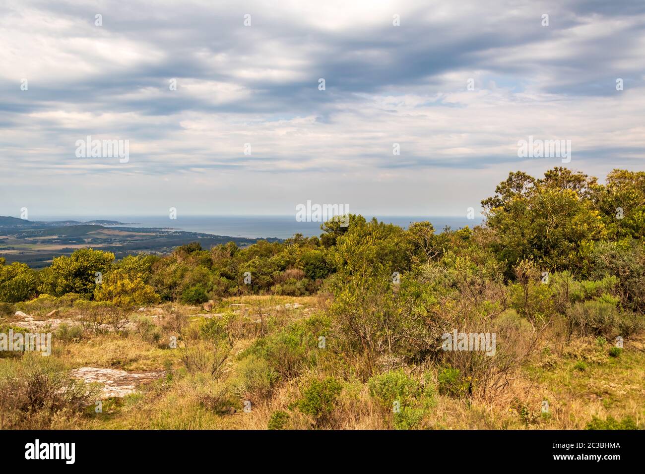 nature dans les montagnes de l'amérique du sud parcs avec la flore indigène Banque D'Images