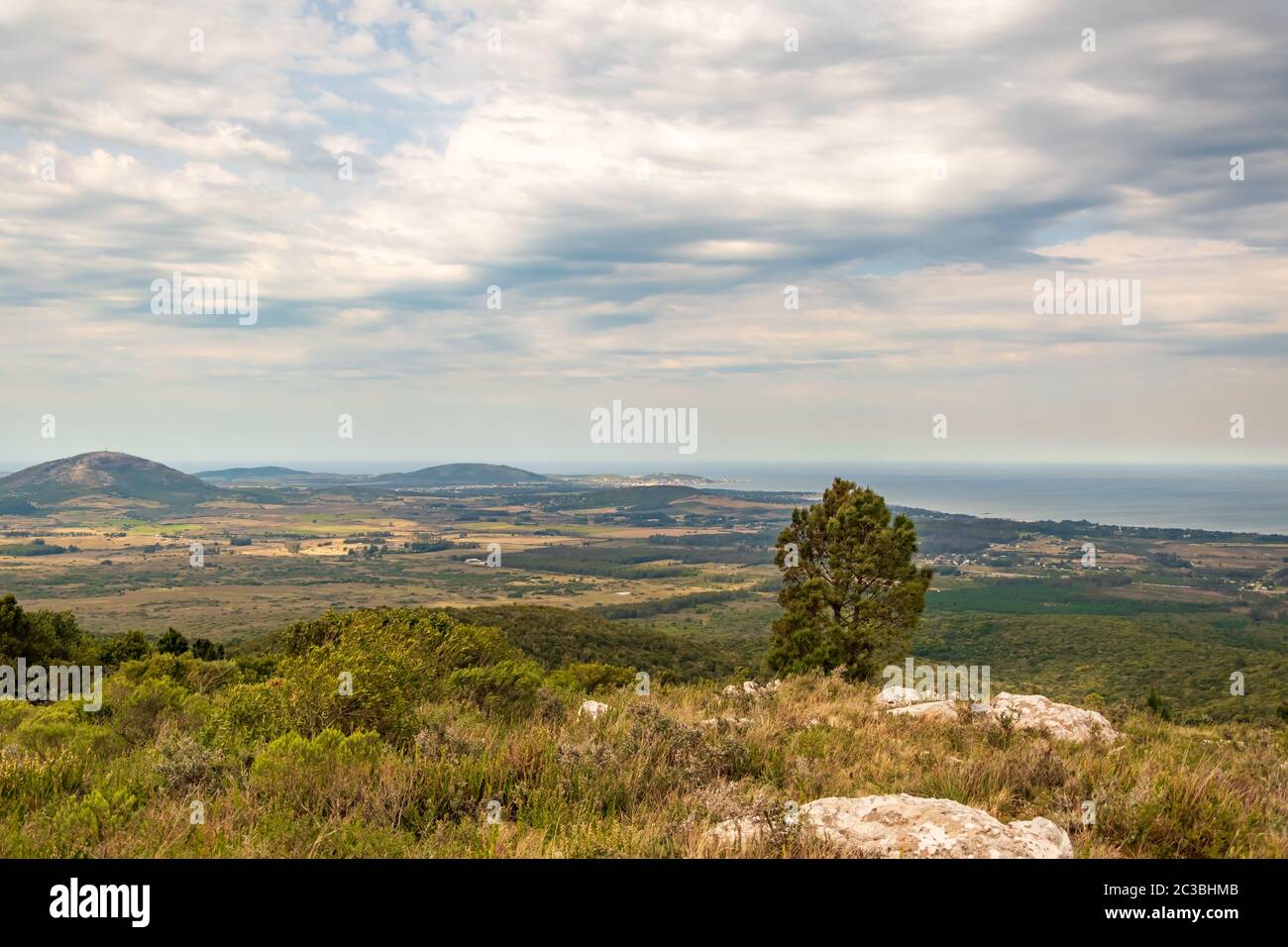 nature dans les montagnes de l'amérique du sud parcs avec la flore indigène Banque D'Images