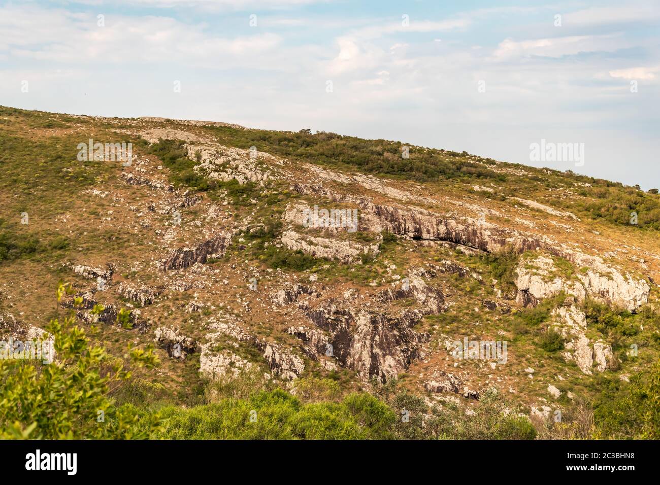 nature dans les montagnes de l'amérique du sud parcs avec la flore indigène Banque D'Images