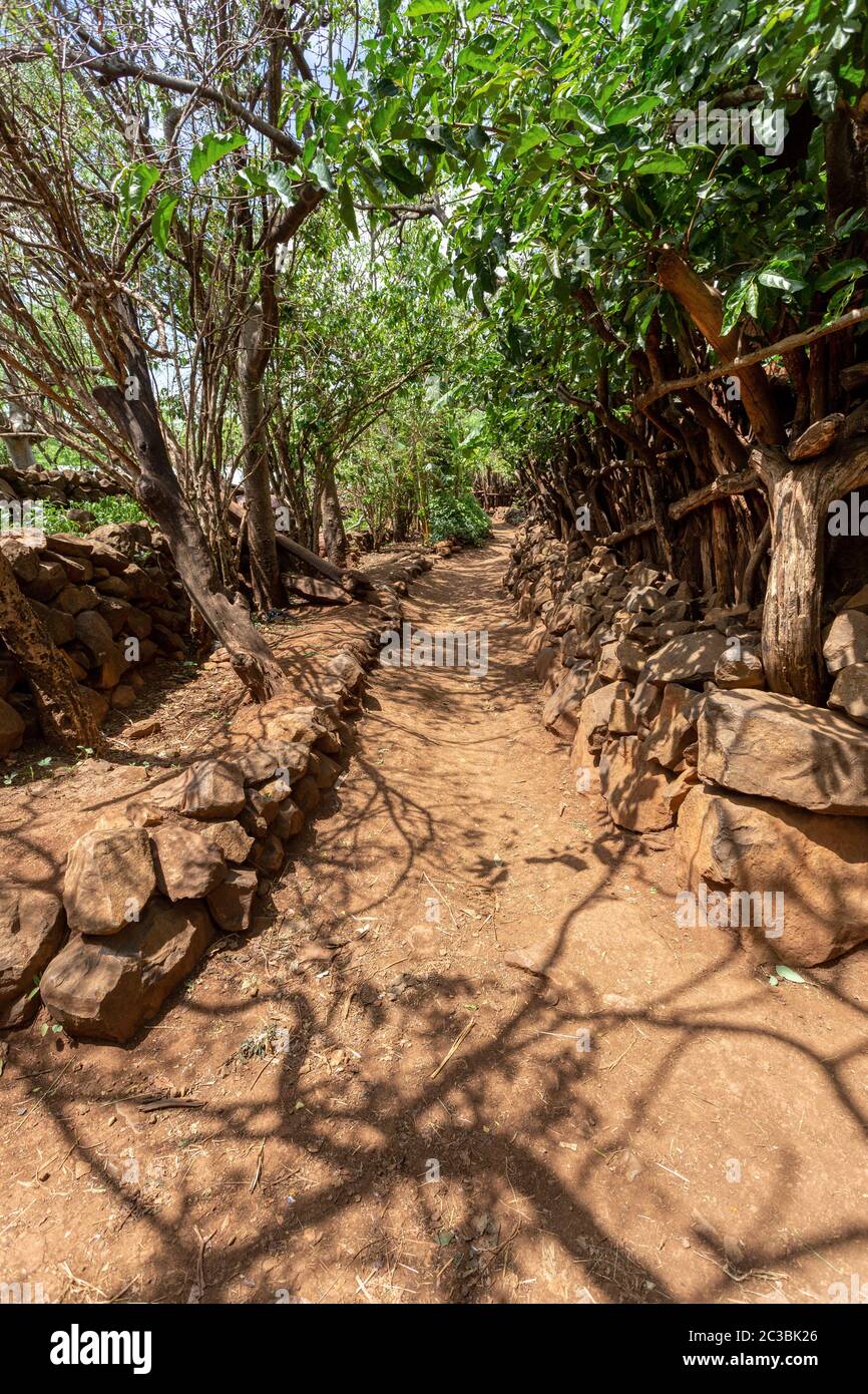 Voie étroite dans le village fortifié de Konso, tribus Konso. L'Afrique, l'Éthiopie. Villages Konso sont répertoriés comme sites du patrimoine mondial de l'UNESCO. Banque D'Images