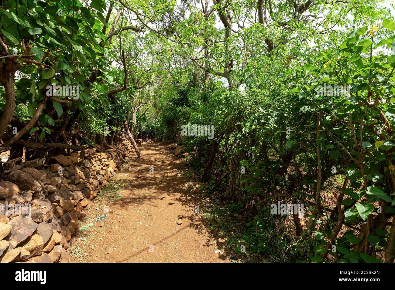 Voie étroite dans le village fortifié de Konso, tribus Konso. L'Afrique, l'Éthiopie. Villages Konso sont répertoriés comme sites du patrimoine mondial de l'UNESCO. Banque D'Images