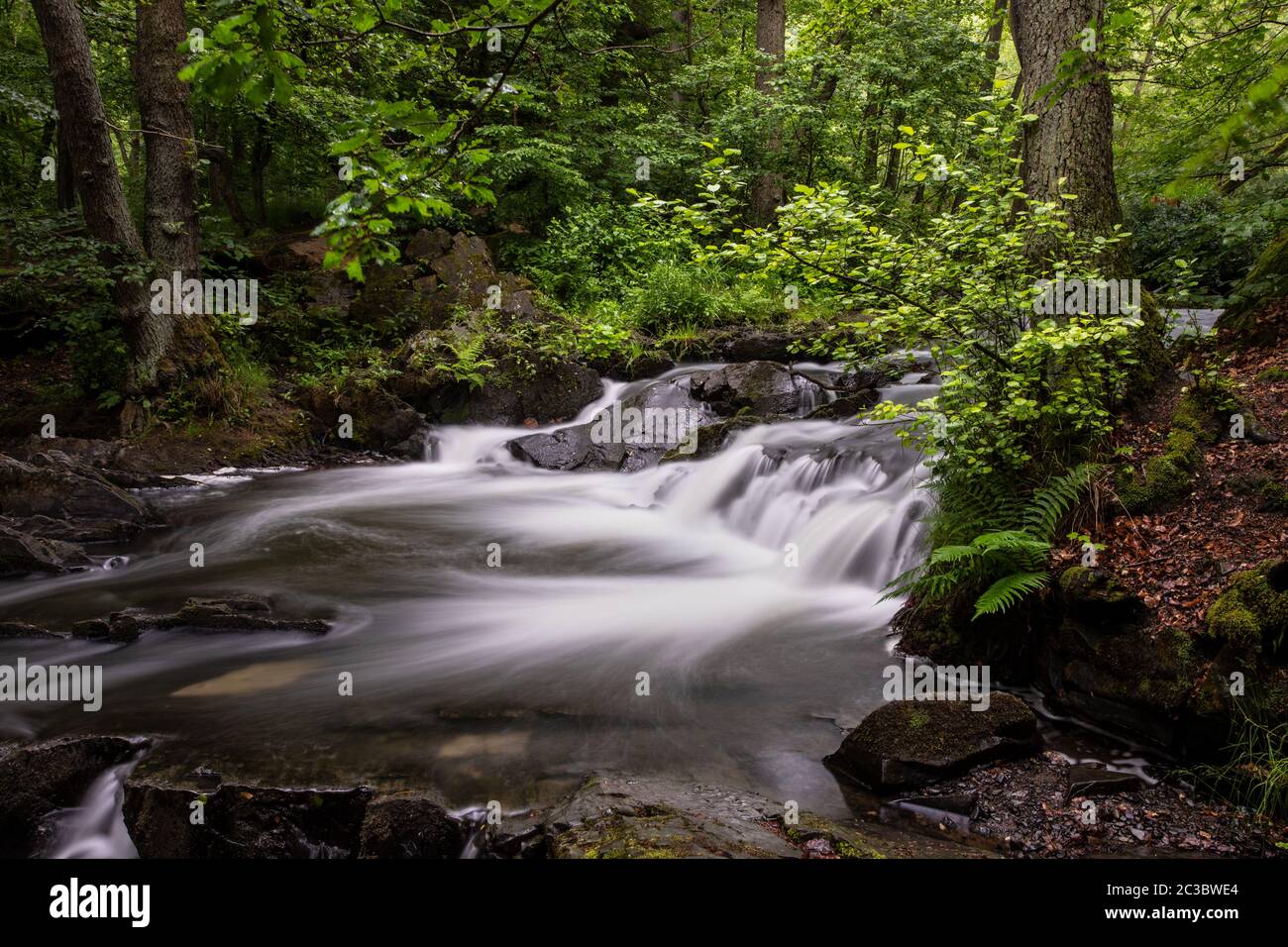 Selkefall, Saxe-Anhalt, Allemagne Banque D'Images