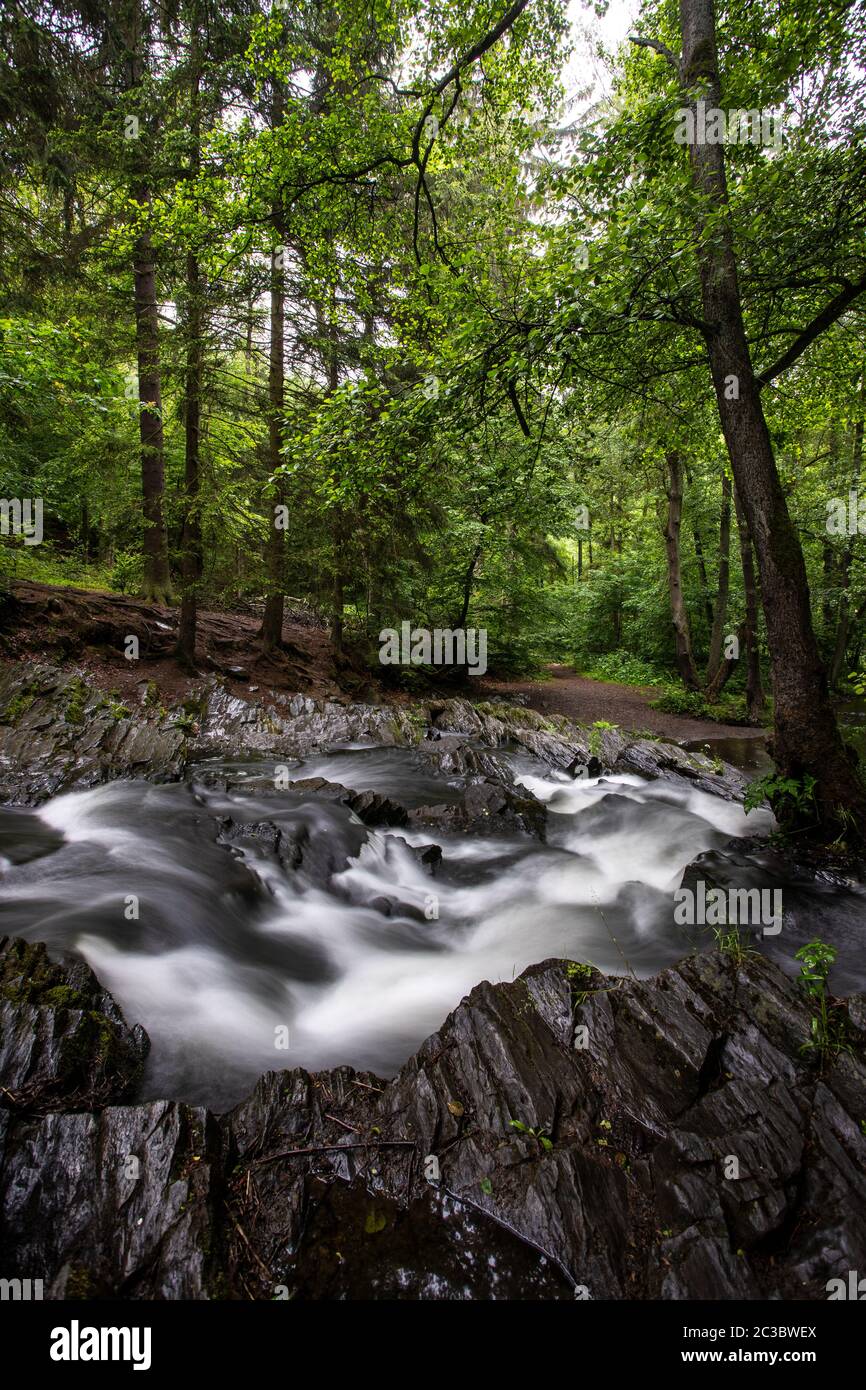 Selkefall, Saxe-Anhalt, Allemagne Banque D'Images