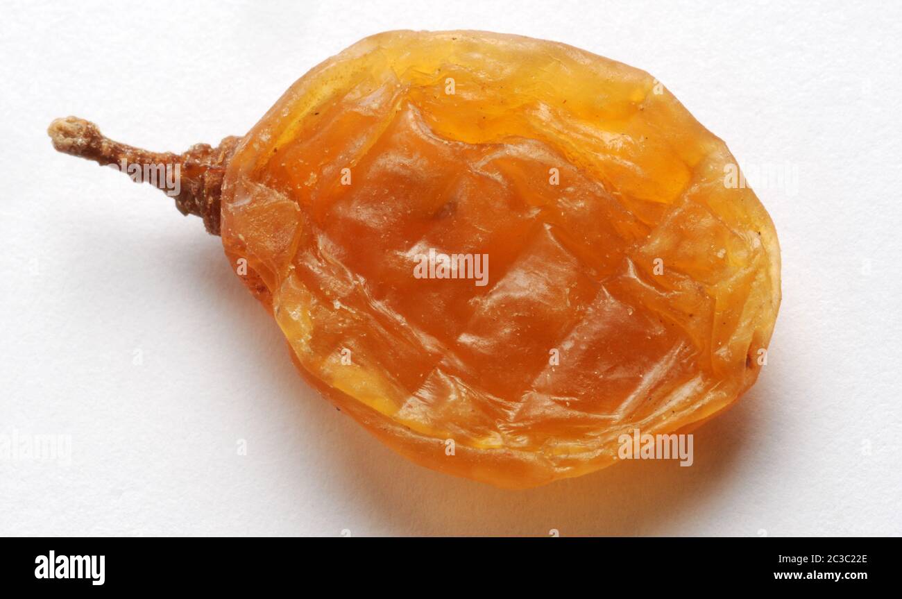 Gros plan des raisins blancs Banque D'Images