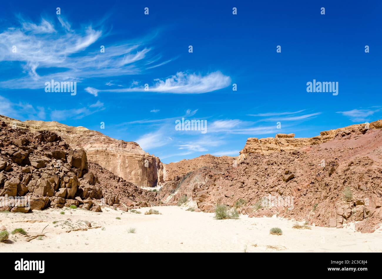 buissons verts sur le sable dans un canyon dans le désert avec la toile de fond des montagnes et un ciel bleu Banque D'Images