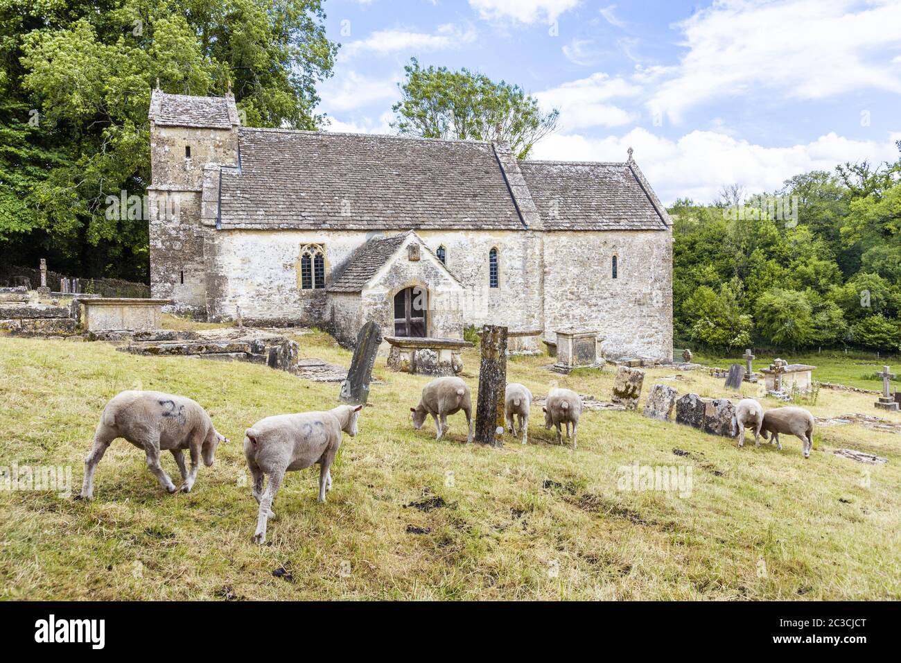Moutons paître dans le cimetière de l'église saxonne de St Michael dans le village de Duntisbourne Rouse, Gloucestershire, Royaume-Uni Banque D'Images