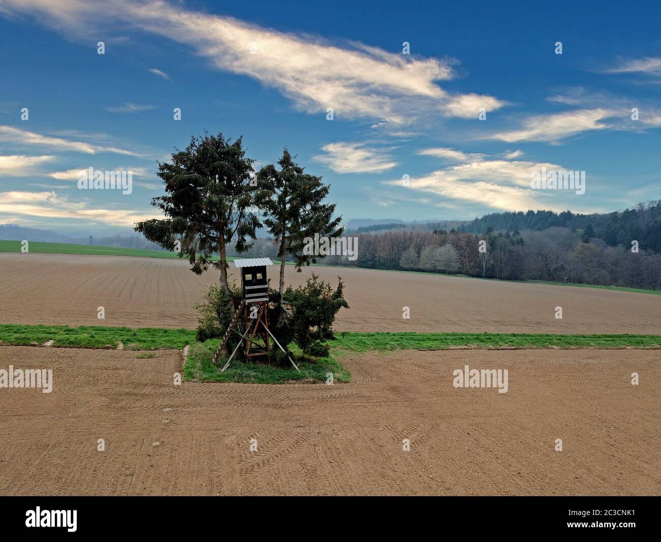 Aveugles élevés devant une forêt avec des nuages d'été Banque D'Images