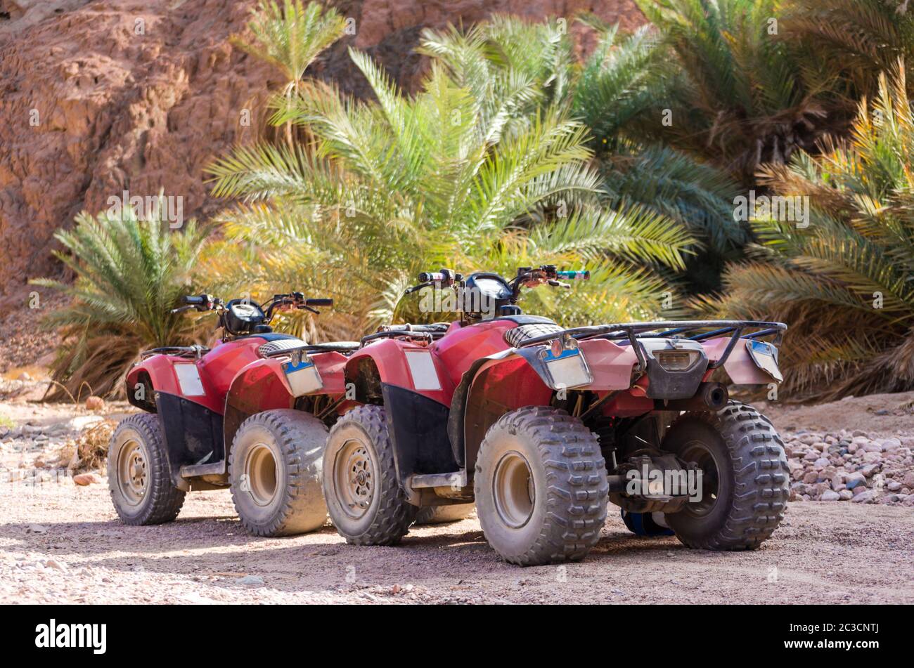 quatre véhicules tout-terrain à roues quad dans le désert avec la toile de fond des palmiers et de pierre roc Banque D'Images