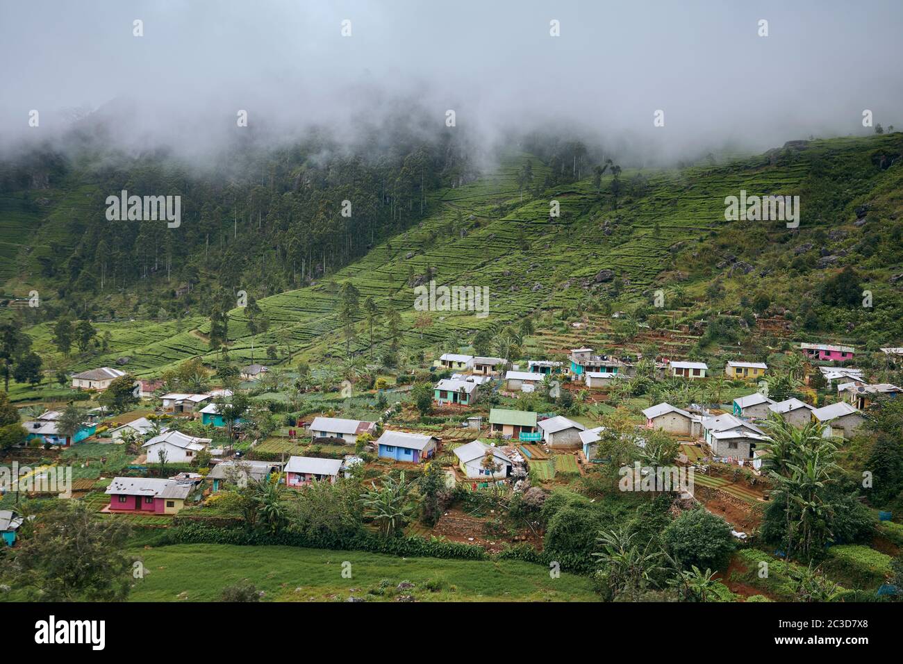 Village contre plantation de thé dans les nuages. Paysage agricole au Sri Lanka. Banque D'Images