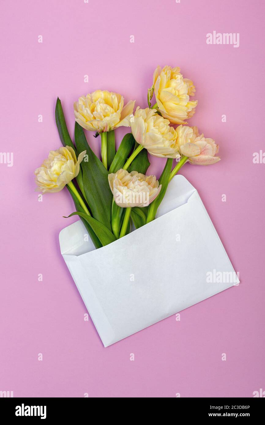 Bouquet de tulipes jaune-rose pastel. Banque D'Images