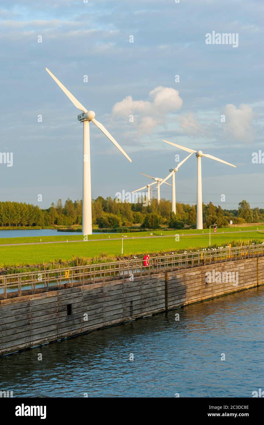 Éoliennes (moulins à vent) près de Hoogerheide, un village du Brabant Nord, pays-Bas, près de la frontière avec la Belgique. Banque D'Images