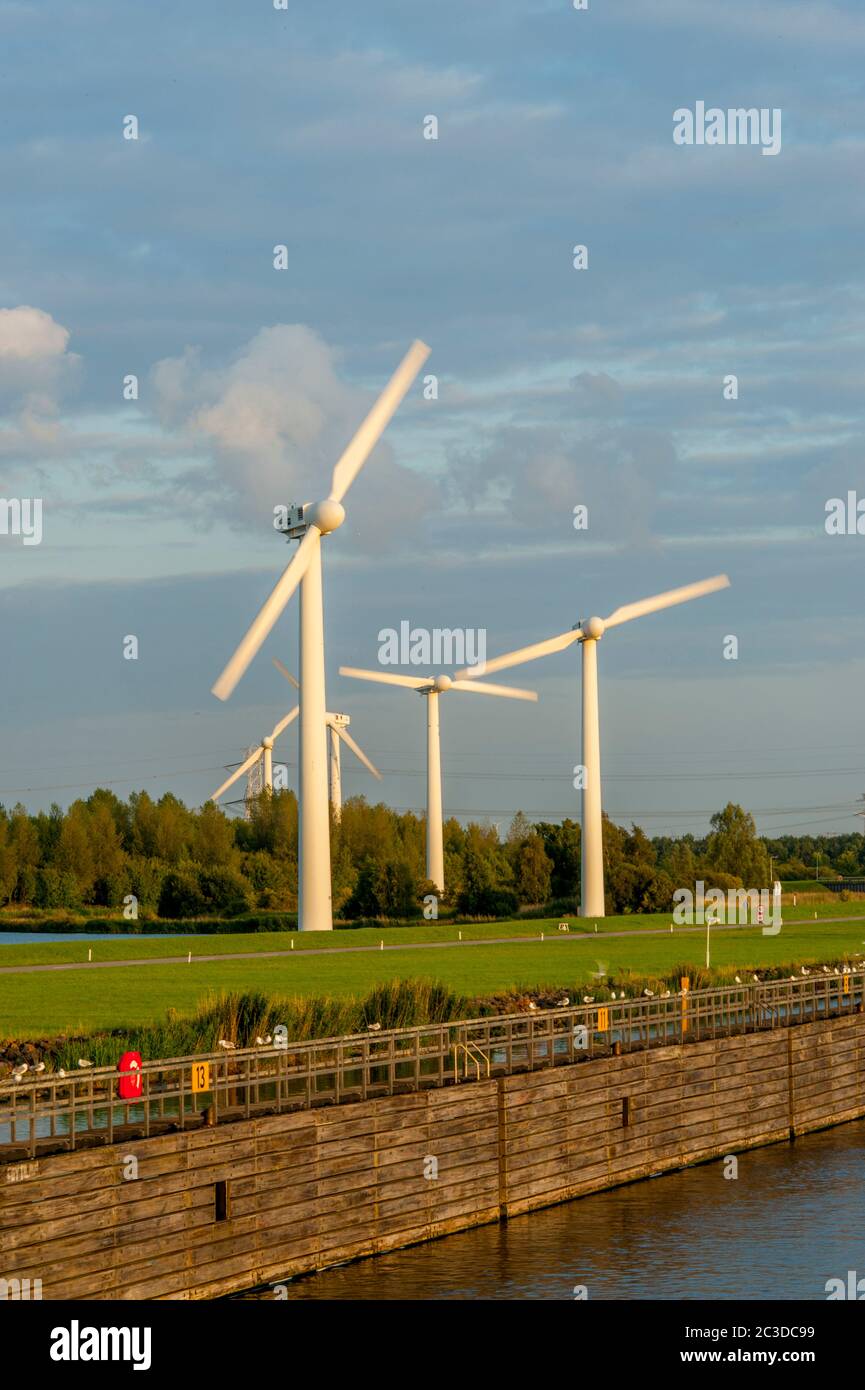 Éoliennes (moulins à vent) près de Hoogerheide, un village du Brabant Nord, pays-Bas, près de la frontière avec la Belgique. Banque D'Images