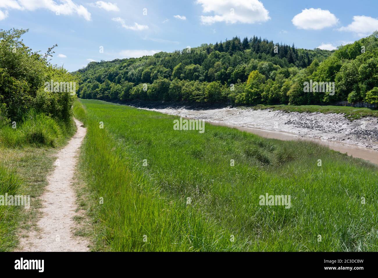 Leigh Woods et Paradise Bottom des rives opposées de la rivière Avon à Sea Mills près de Bristol UK Banque D'Images
