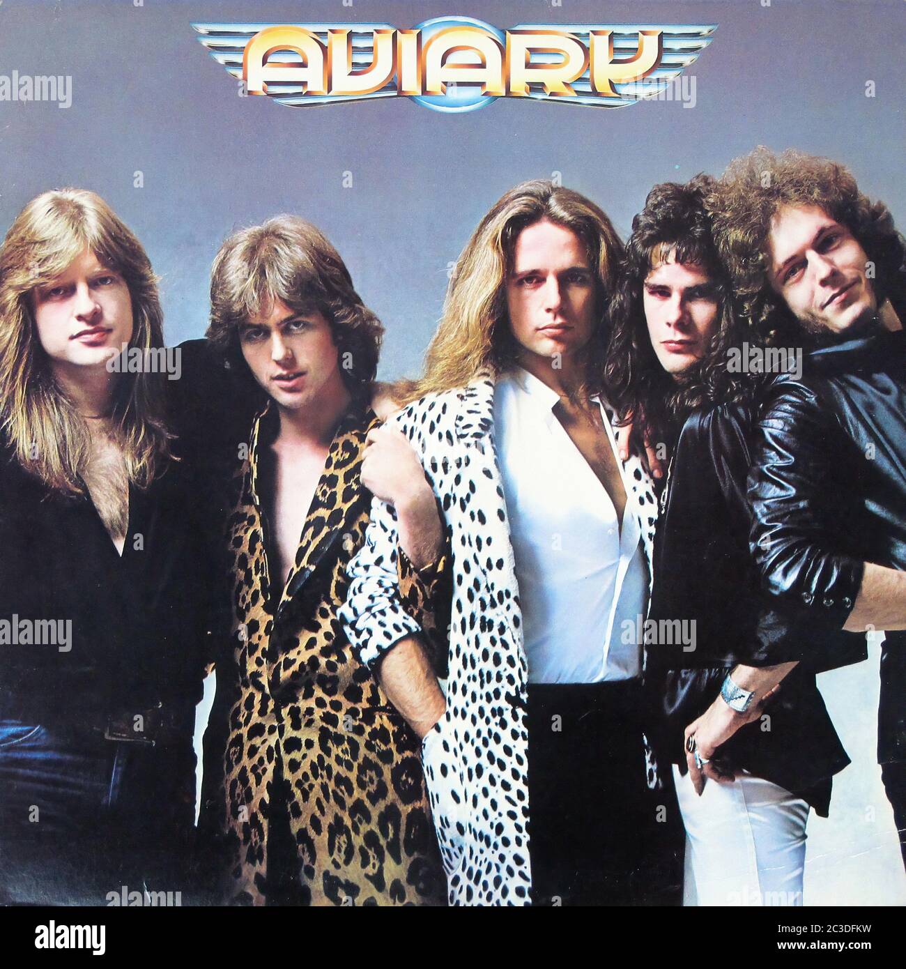 AVIARY s''T AUTOTITRÉ PROG ROCK - Vintage 12'' LP vinyle de couverture Banque D'Images