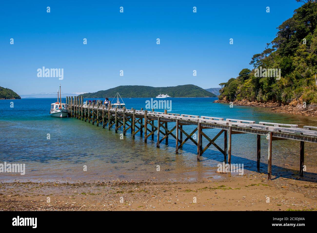 La jetée de l'historique Ships Cove, dans le détroit de la Reine-Charlotte, dans les Marlborough Sounds de South Island, qui était le capitaine James Cooks favori New Ze Banque D'Images
