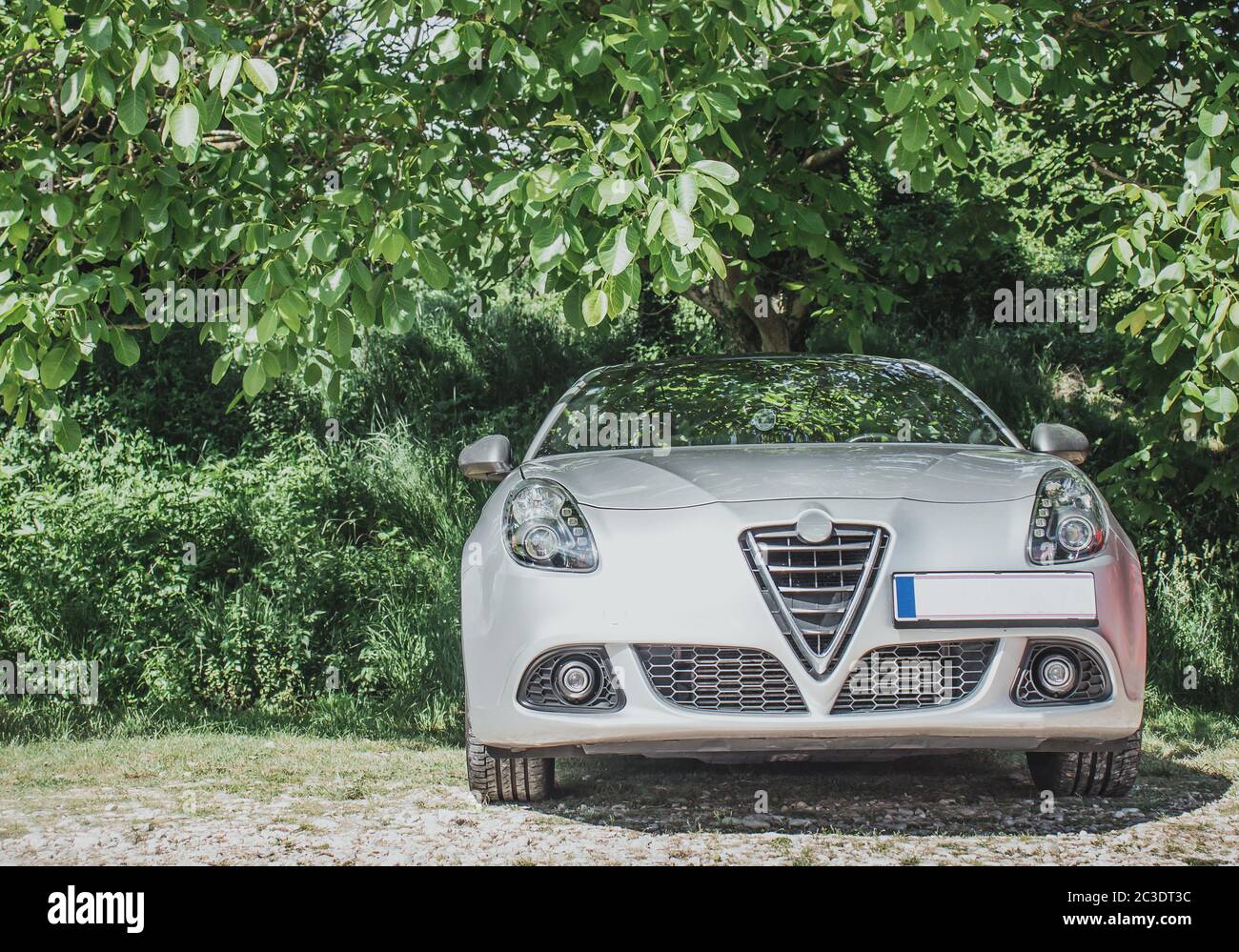 Magnifique hayon moderne en argent, garé sous un arbre verdoyant. Journée ensoleillée avec des buissons entourant la voiture dans la nature Banque D'Images