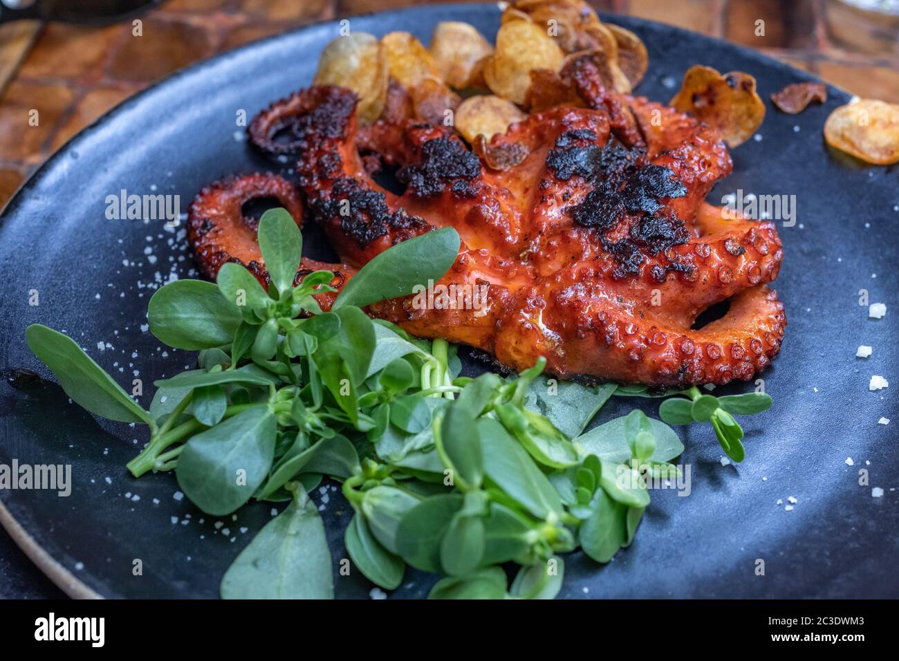 Une plaque de poulpe grillée au restaurant de fruits de mer. Banque D'Images